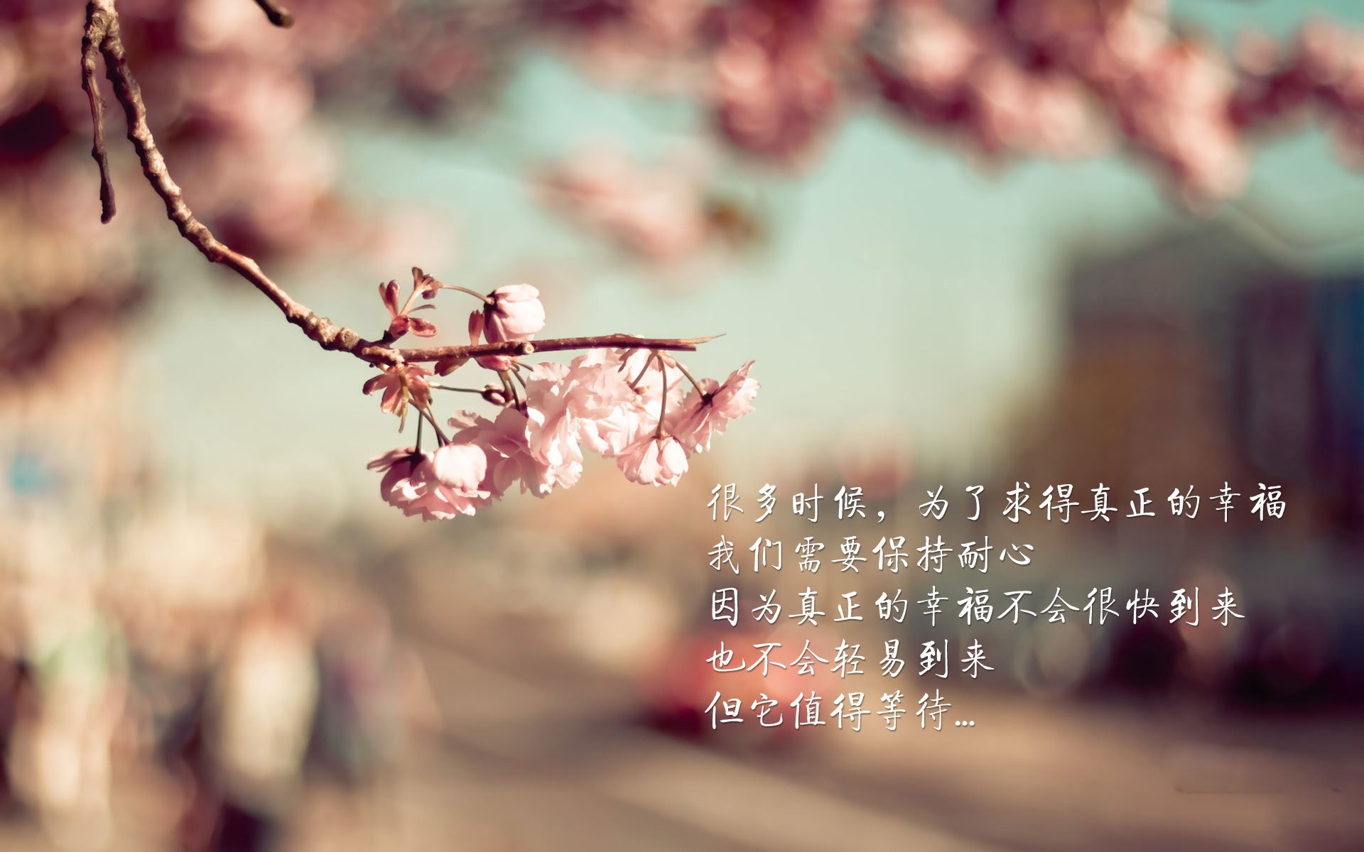 世俱杯决赛-国际泳联新规出台：泳衣技术限制再升级，国际泳联比赛规则