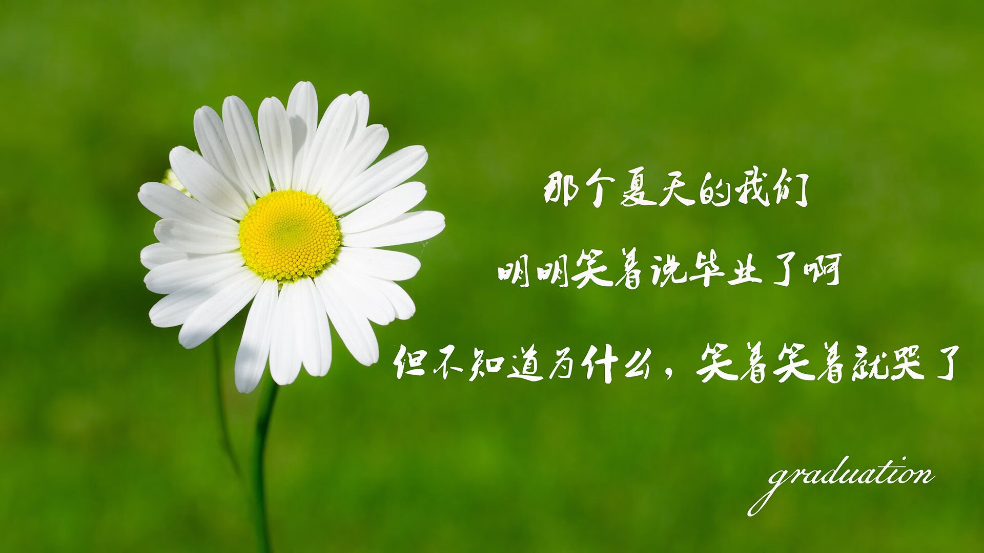 西甲裁判语义识别系统提升判罚准确性的实证研究，足球裁判语言