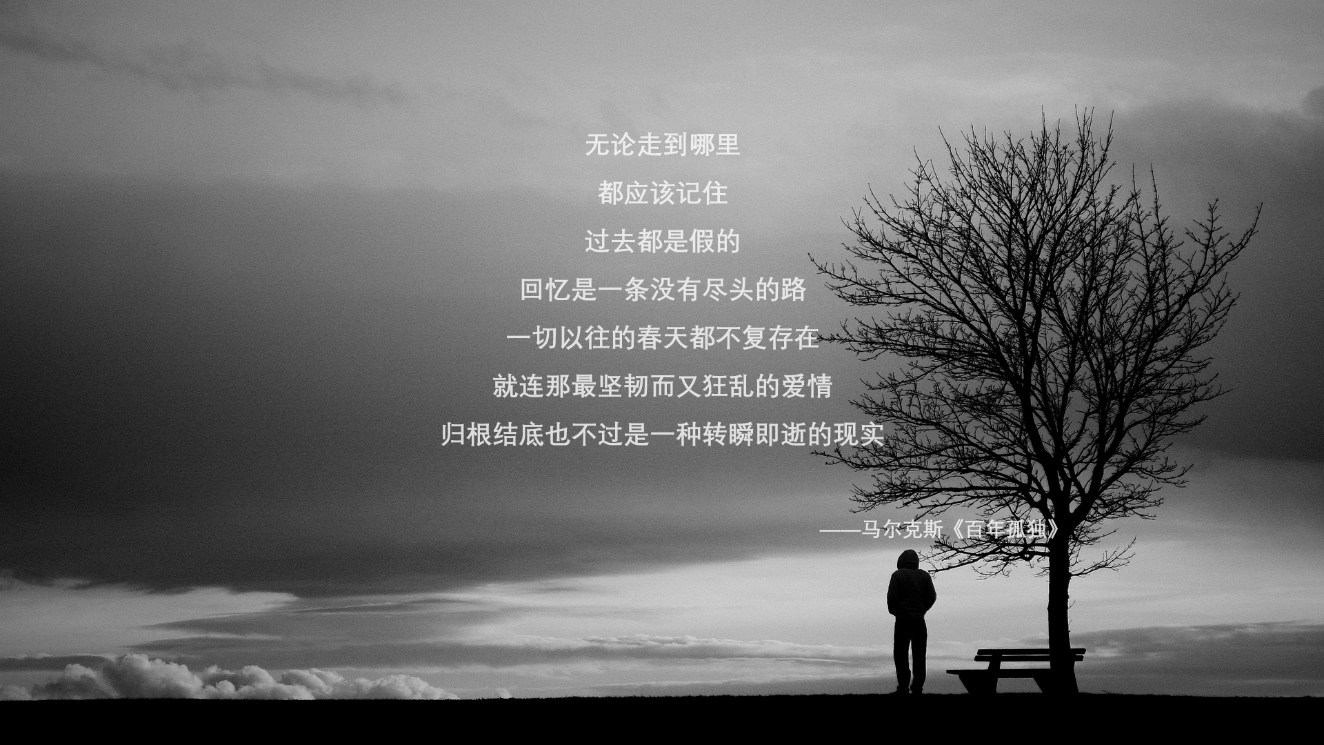 浙江雄狮教练组战术调整助力球队夺冠，浙江雄狮泵业科技有限公司