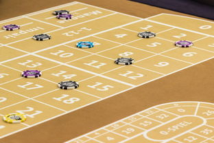 世俱杯专业体育赛事直播平台-高频转换节奏是否增加球队整体失误风险，高频转低频转换器使用方法