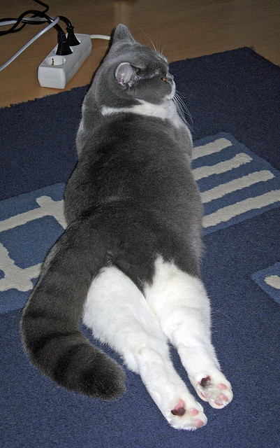 七六人掀起逆转高潮恩比德末节统治全场,恩比德复出首战砍下24分8板2助3帽