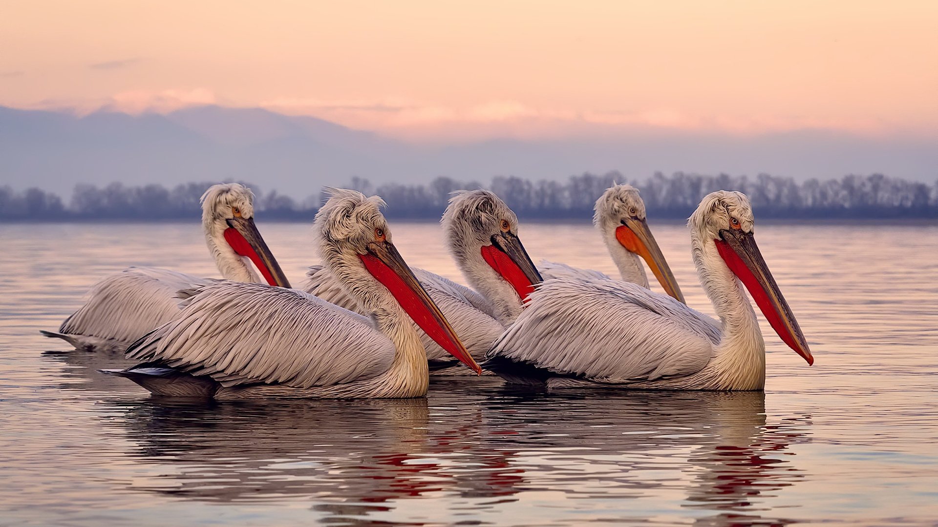 世俱杯专业体育赛事直播平台-西甲神级表现：那些令人叹为观止的瞬间，西甲精彩集锦
